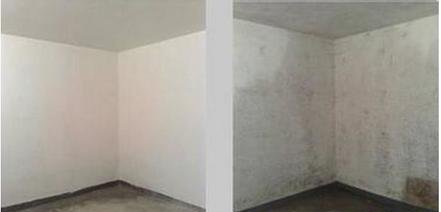 Anti-enzyme latex paint for interior wall